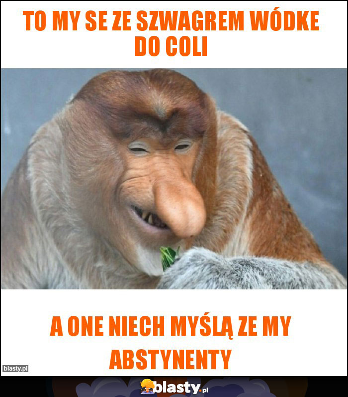 To my se ze szwagrem wódke do coli To my se ze szwagrem wódke do coli