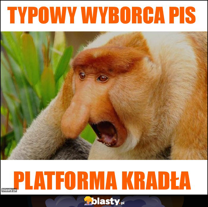 Typowy wyborca PIS Typowy wyborca PIS