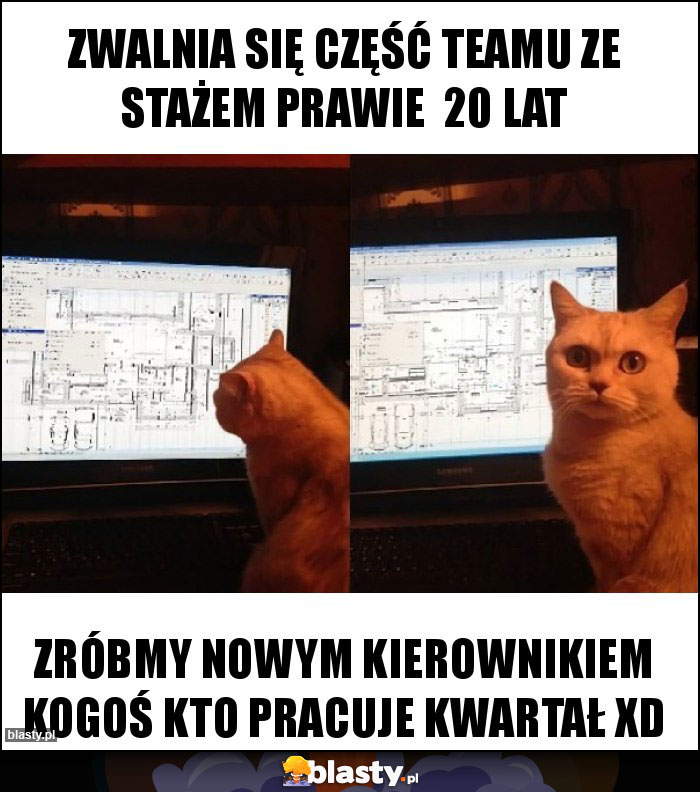 Zwalnia się część teamu ze stażem prawie 20 lat Zwalnia się część teamu ze stażem prawie 20 lat