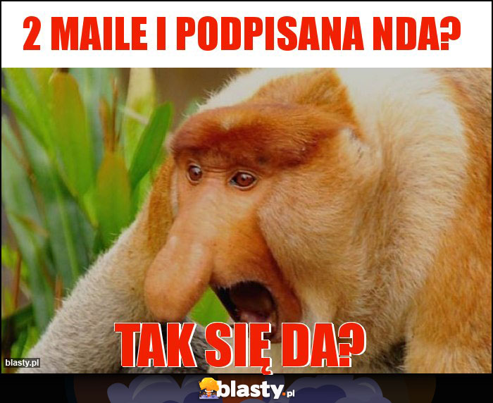 2 maile i podpisana NDA? 2 maile i podpisana NDA?