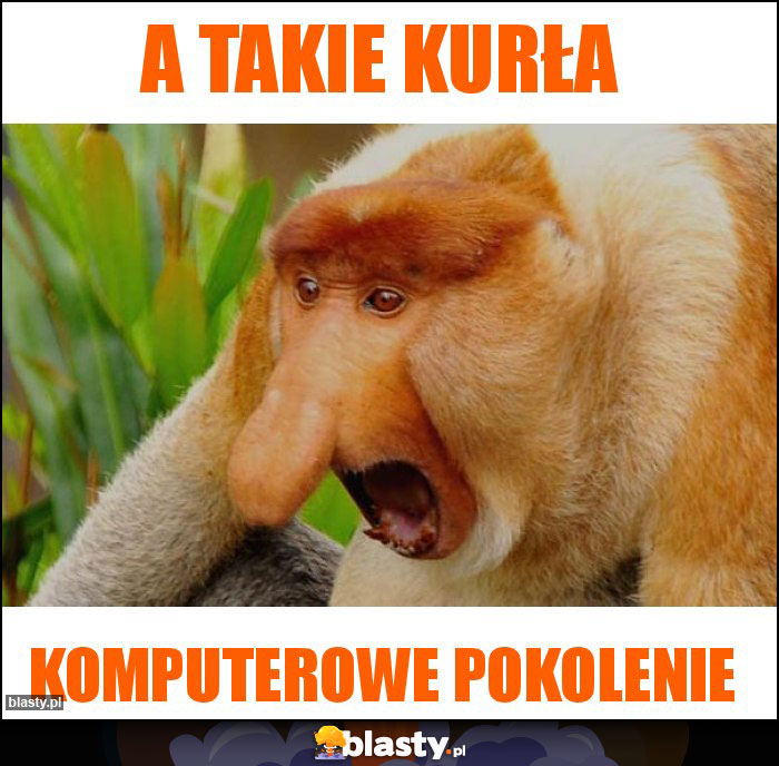 A takie kurła A takie kurła