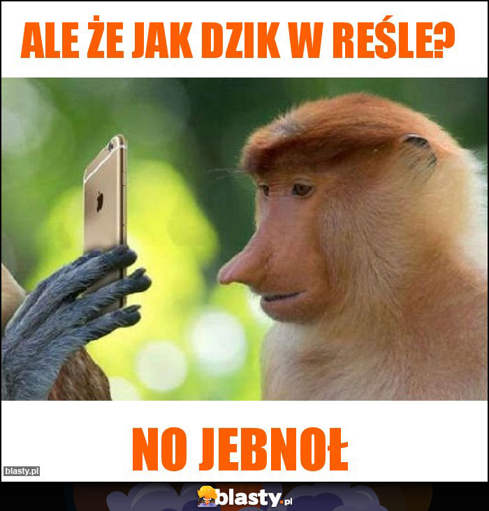 Ale że jak dzik w reśle? Ale że jak dzik w reśle?
