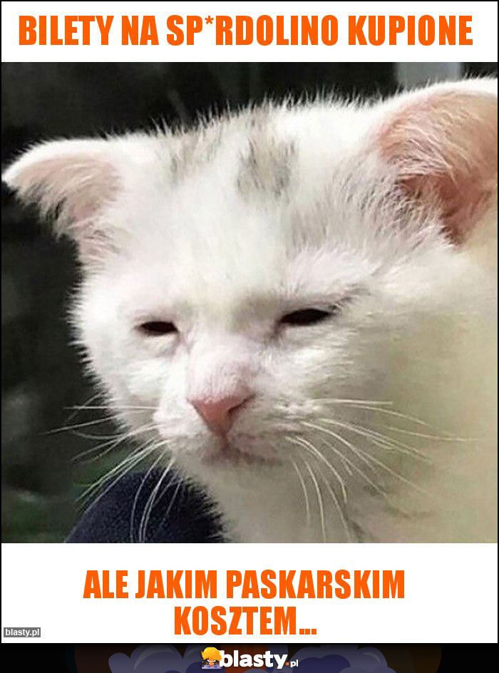 bilety na sp*rdolino kupione bilety na sp*rdolino kupione