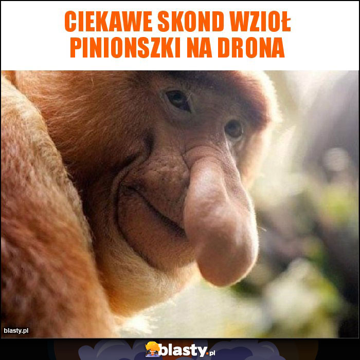 Ciekawe skond wzioł pinionszki na drona Ciekawe skond wzioł pinionszki na drona
