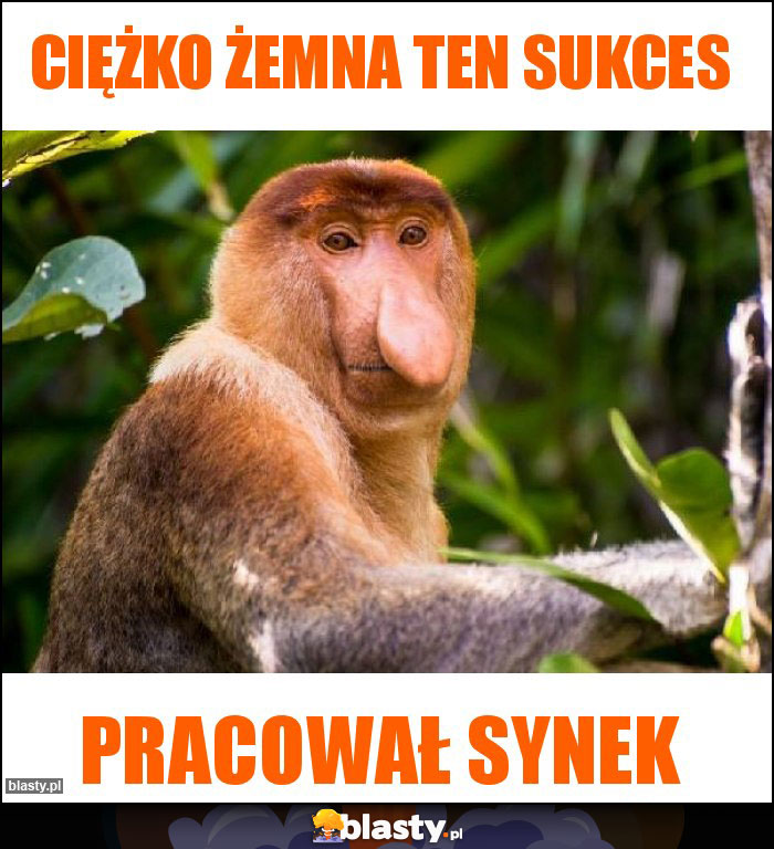 Ciężko żemna ten sukces Ciężko żemna ten sukces