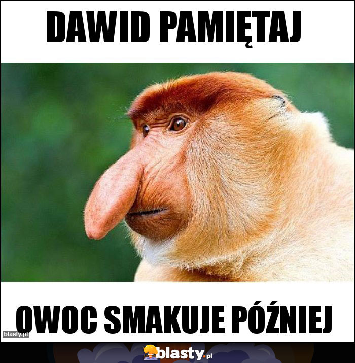Dawid pamiętaj Dawid pamiętaj