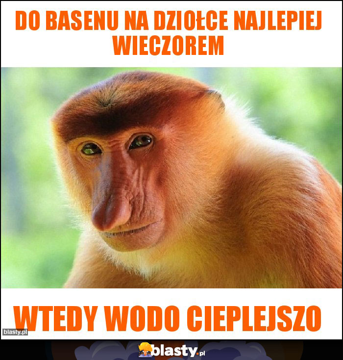 Do basenu na dziołce najlepiej wieczorem Do basenu na dziołce najlepiej wieczorem
