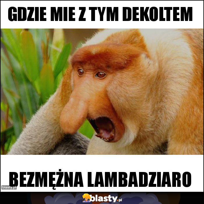 GDZIE MIE Z TYM DEKOLTEM GDZIE MIE Z TYM DEKOLTEM