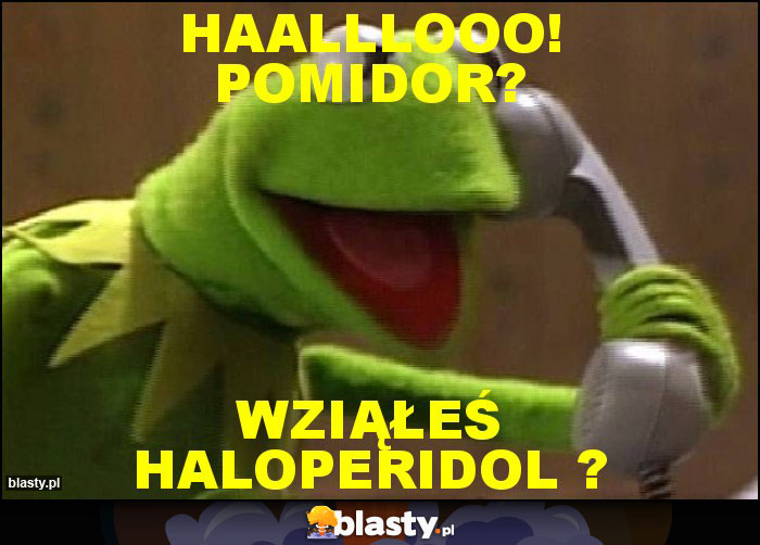 Haalllooo! Pomidor? Haalllooo! Pomidor?