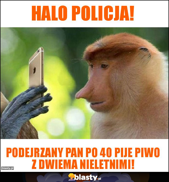 Halo Policja!