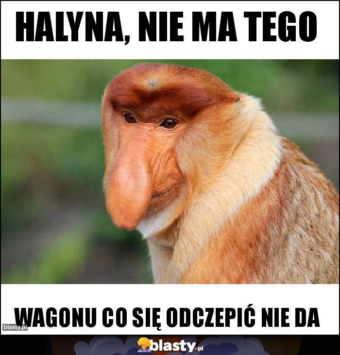 Halyna, nie ma tego