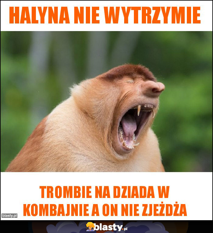 Halyna nie wytrzymie