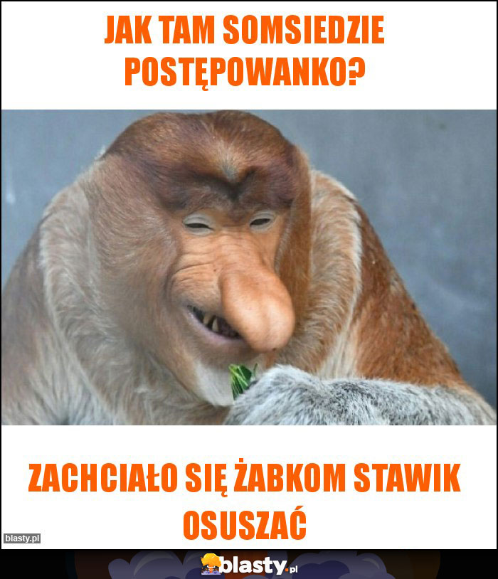 jak tam somsiedzie postępowanko? jak tam somsiedzie postępowanko?