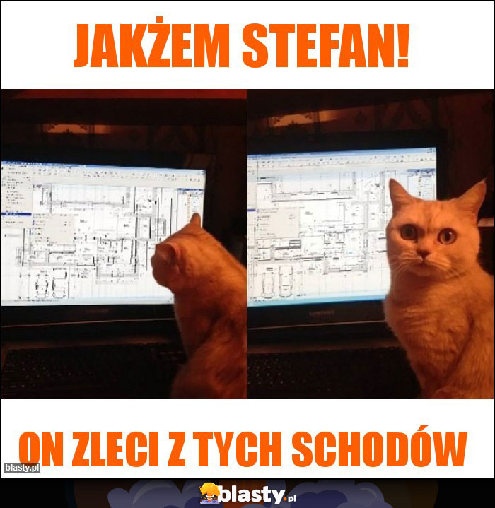 Jakżem Stefan! Jakżem Stefan!