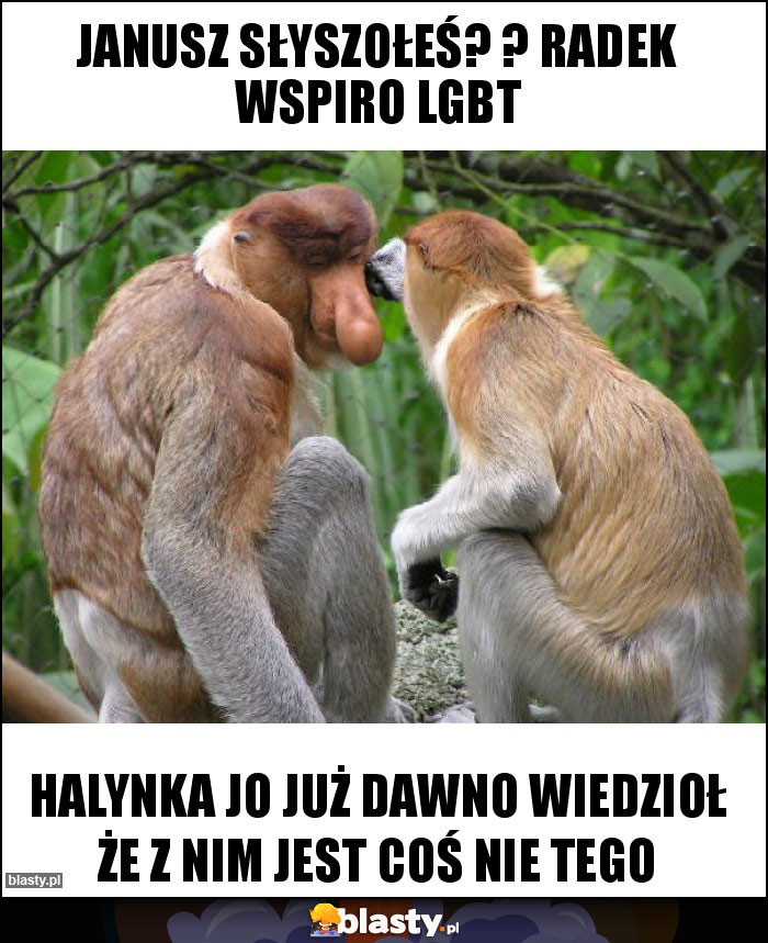 Janusz słyszołeś? ? RADEK wspiro LGBT