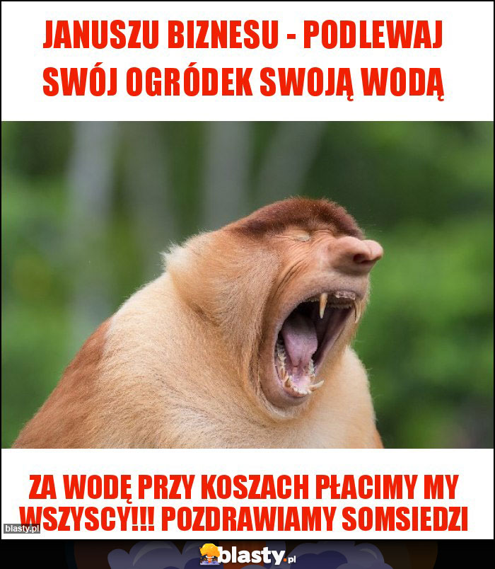 JANUSZU BIZNESU - PODLEWAJ SWÓJ OGRÓDEK SWOJĄ WODĄ