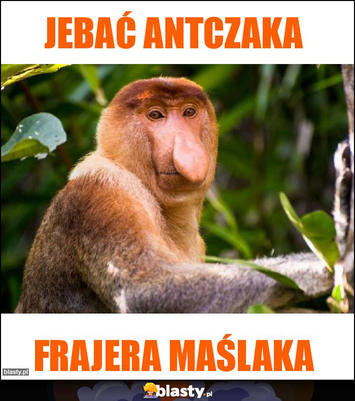 JEBAĆ ANTCZAKA