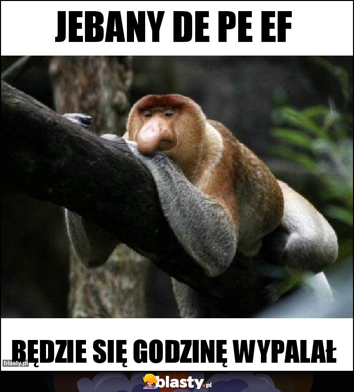 jebany de pe ef jebany de pe ef