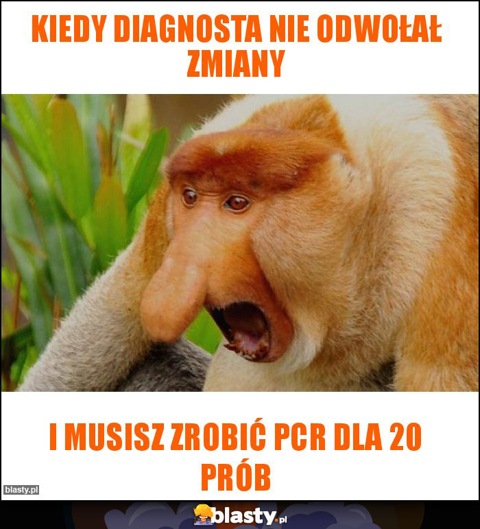 Kiedy diagnosta nie odwołał zmiany Kiedy diagnosta nie odwołał zmiany