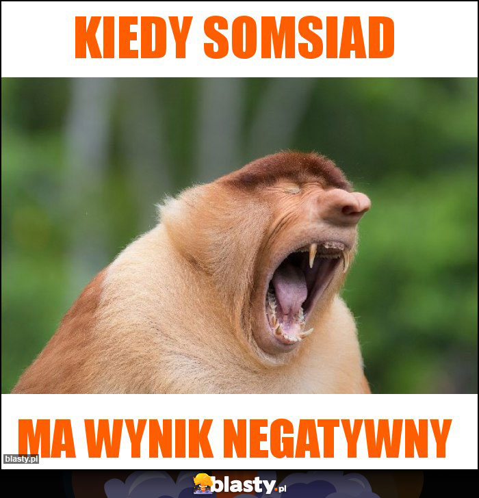KIEDY SOMSIAD KIEDY SOMSIAD