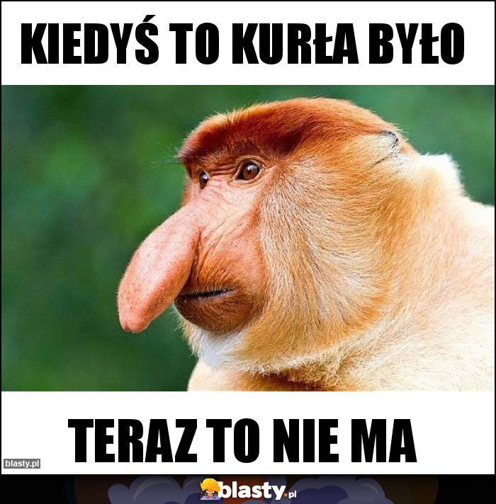 Kiedyś to kurła było Kiedyś to kurła było