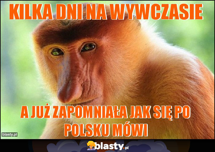 Kilka dni na wywczasie Kilka dni na wywczasie