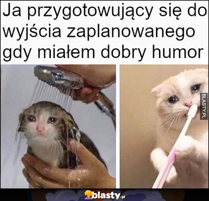 Kot ja przygotowujący się do wyjścia zaplanowanego gdy miałem dobry humor smutny