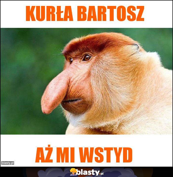 Kurła Bartosz Kurła Bartosz