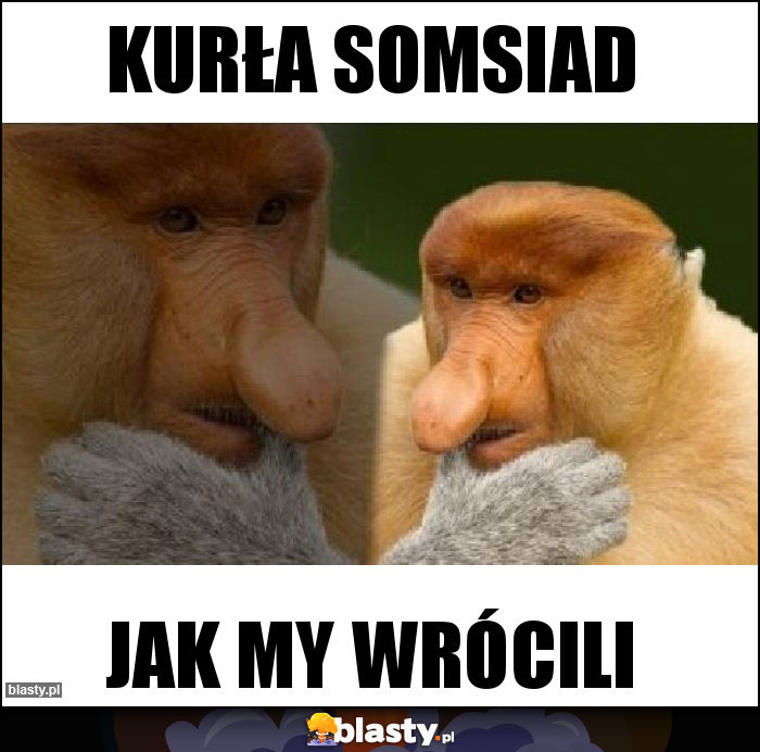 Kurła Somsiad