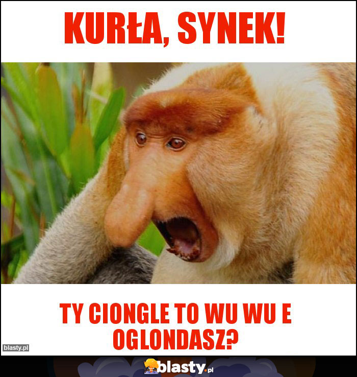 Kurła, synek!