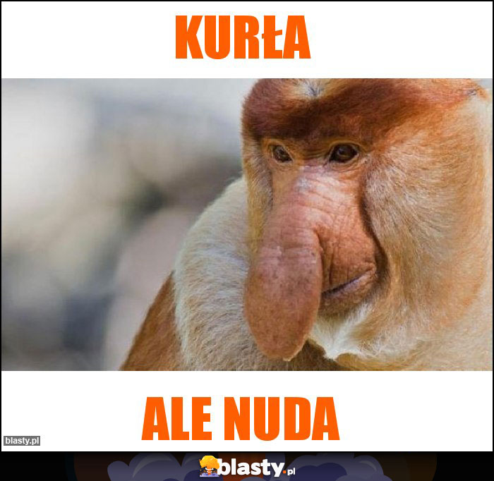 Kurła