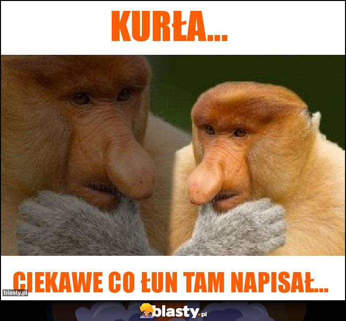 Kurła...