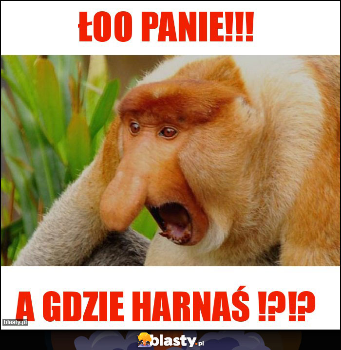 ŁOO PANIE!!! ŁOO PANIE!!!