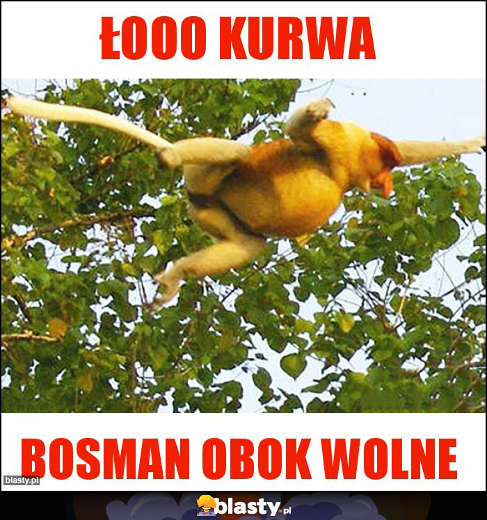Łooo Kurwa Łooo Kurwa