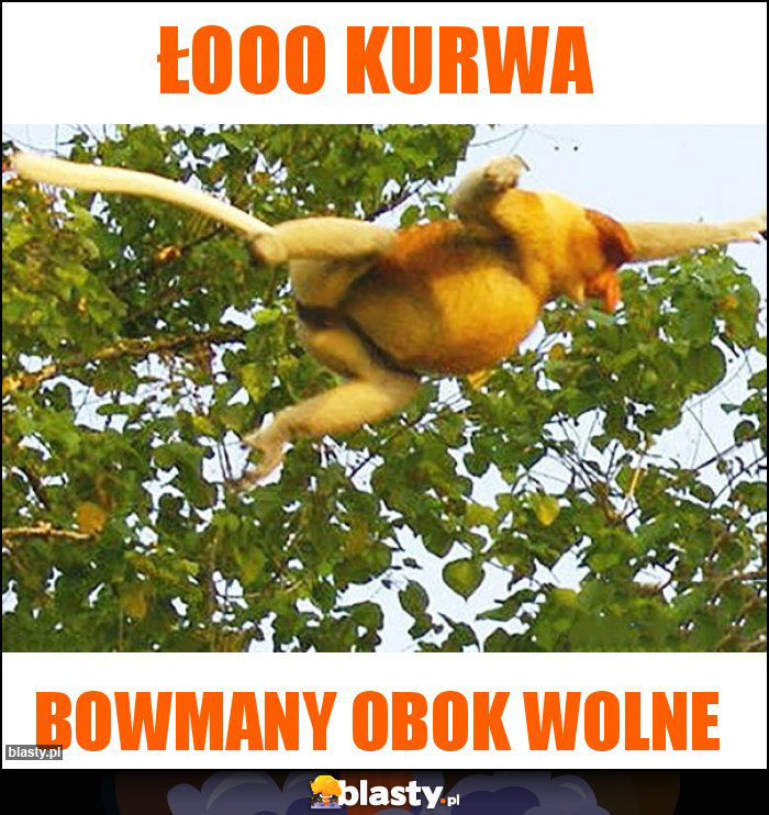 Łooo kurwa Łooo kurwa