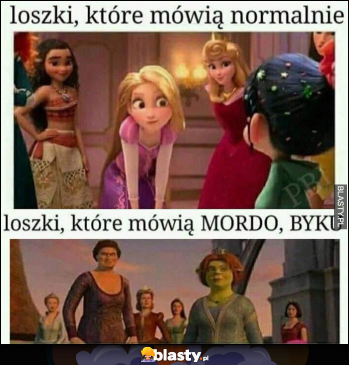 Loszki które mówią normalnie vs loszki, które mówią mordo, byku Shrek