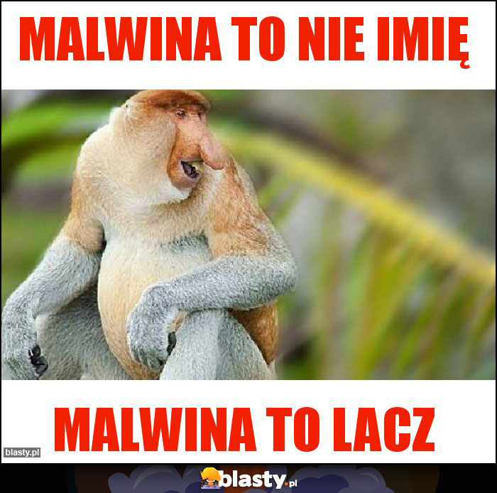 MALWINA TO NIE IMIĘ MALWINA TO NIE IMIĘ