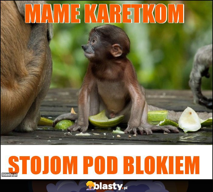 MAME KARETKOM MAME KARETKOM