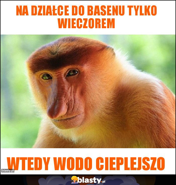 Na działce do basenu tylko wieczorem Na działce do basenu tylko wieczorem