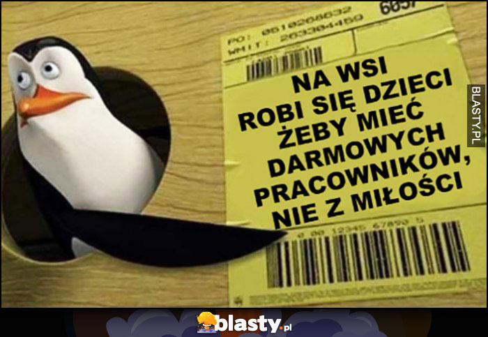 Na wsi robi się dzieci żeby mieć darmowych pracowników, nie z miłości