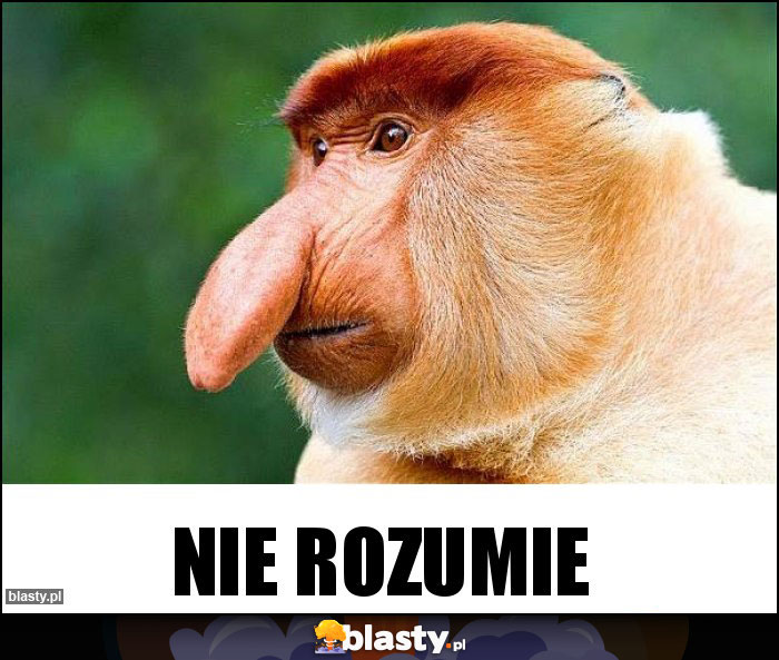 NIE ROZUMIE NIE ROZUMIE
