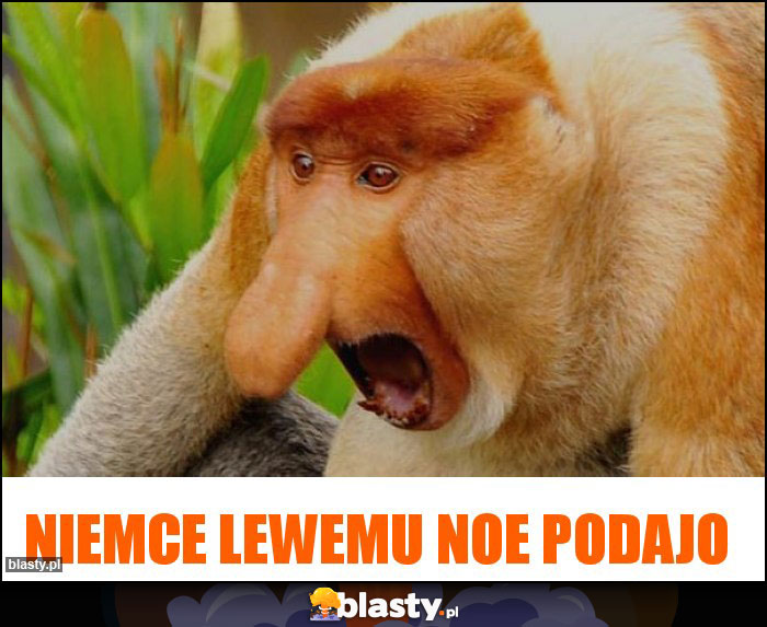 Niemce Lewemu noe podajo Niemce Lewemu noe podajo