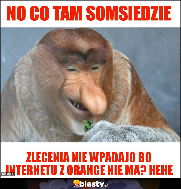 No co tam somsiedzie No co tam somsiedzie