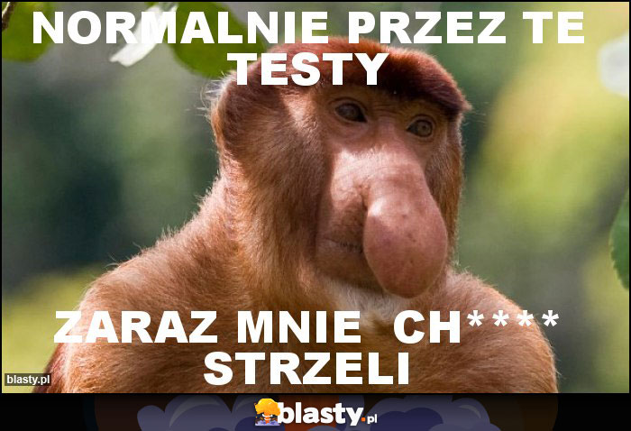 Normalnie przez te testy Normalnie przez te testy