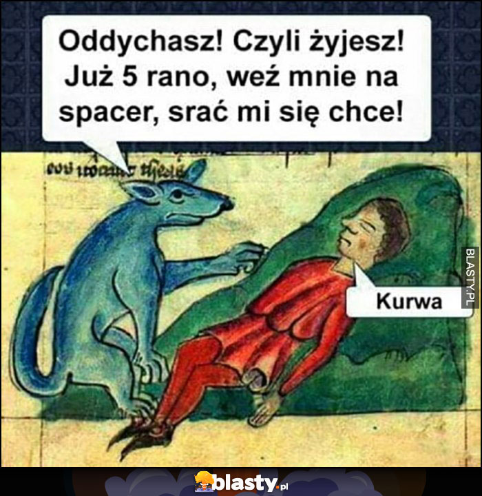 Oddychasz, czyli żyjesz, już 5 rano weź mnie na spacer, srać mi się chce pies średniowieczne memy