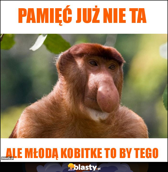 Pamięć już nie ta Pamięć już nie ta
