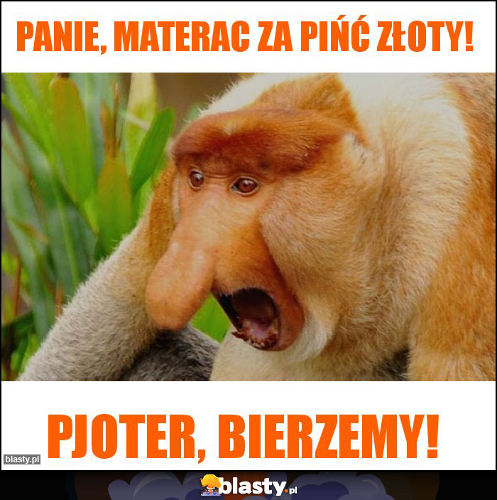 Panie, materac za pińć złoty! Panie, materac za pińć złoty!