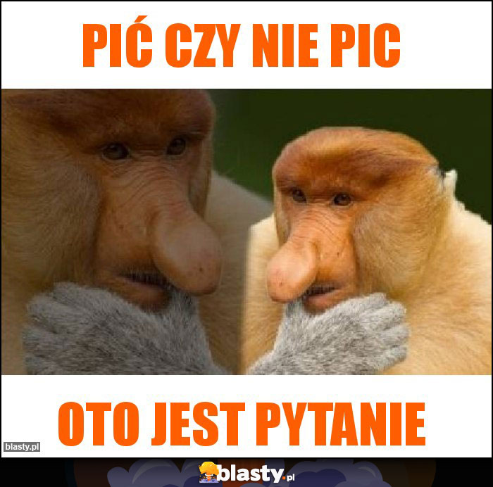 PIĆ CZY NIE PIC