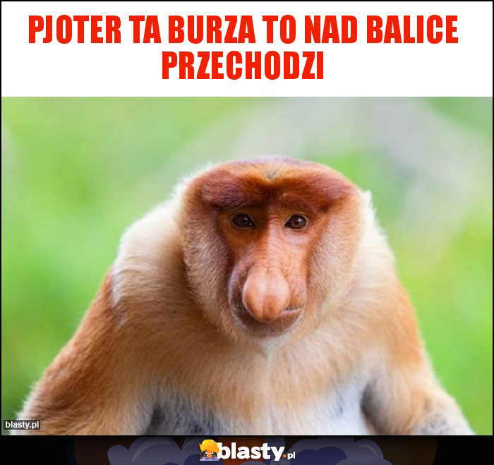 PJOTER TA BURZA TO NAD BALICE PRZECHODZI PJOTER TA BURZA TO NAD BALICE PRZECHODZI