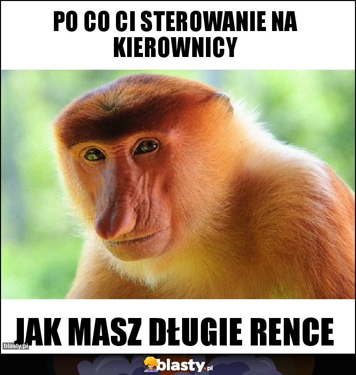 po co Ci sterowanie na kierownicy po co Ci sterowanie na kierownicy
